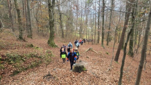 Grmada-Šmarna-gora_16