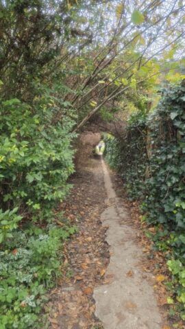 Grmada-Šmarna-gora_60